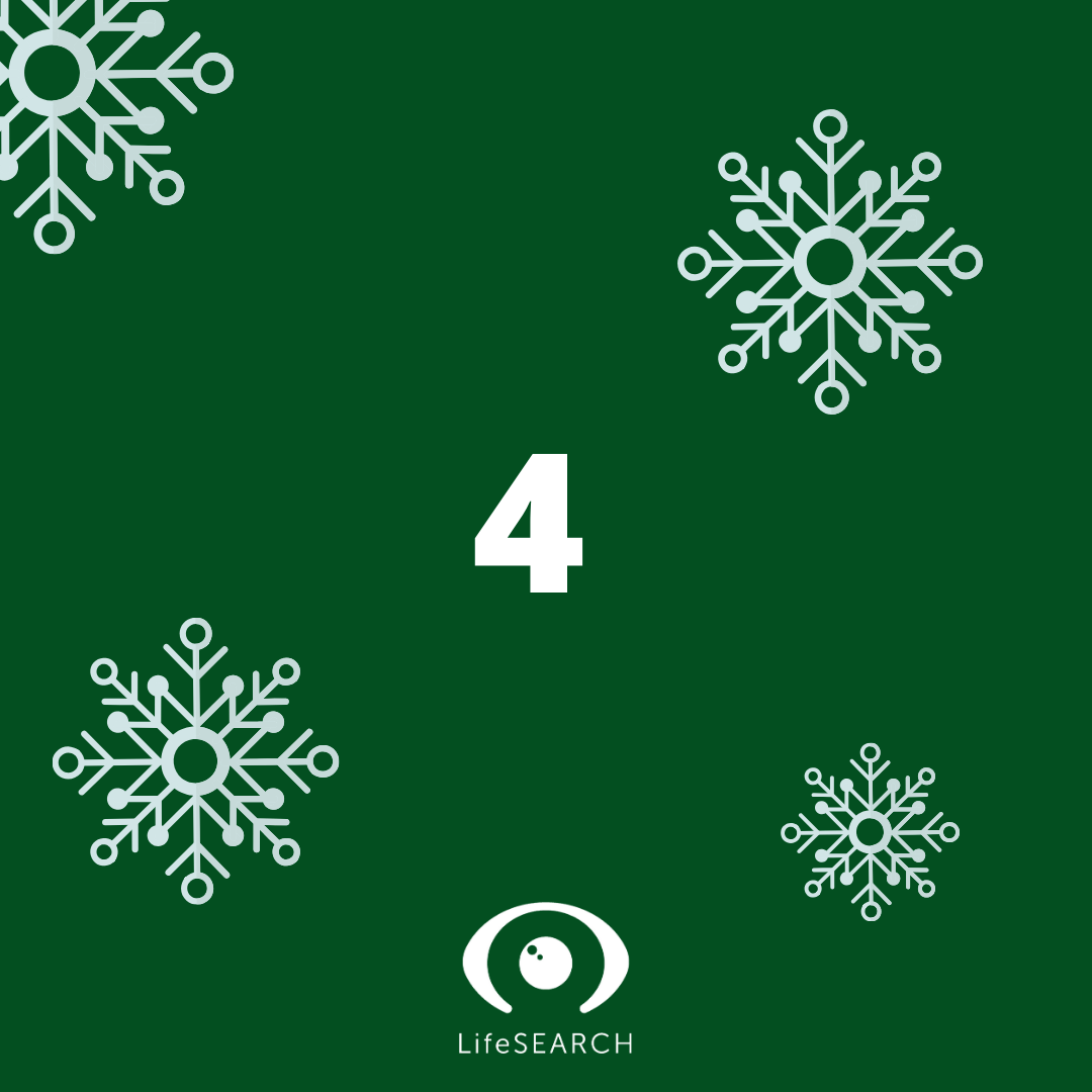 Xmas Door number 4
