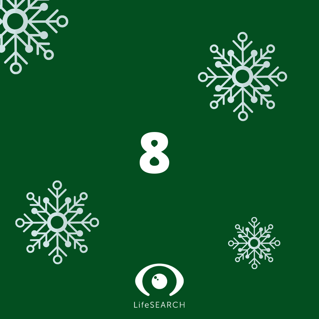 Xmas Door number 8