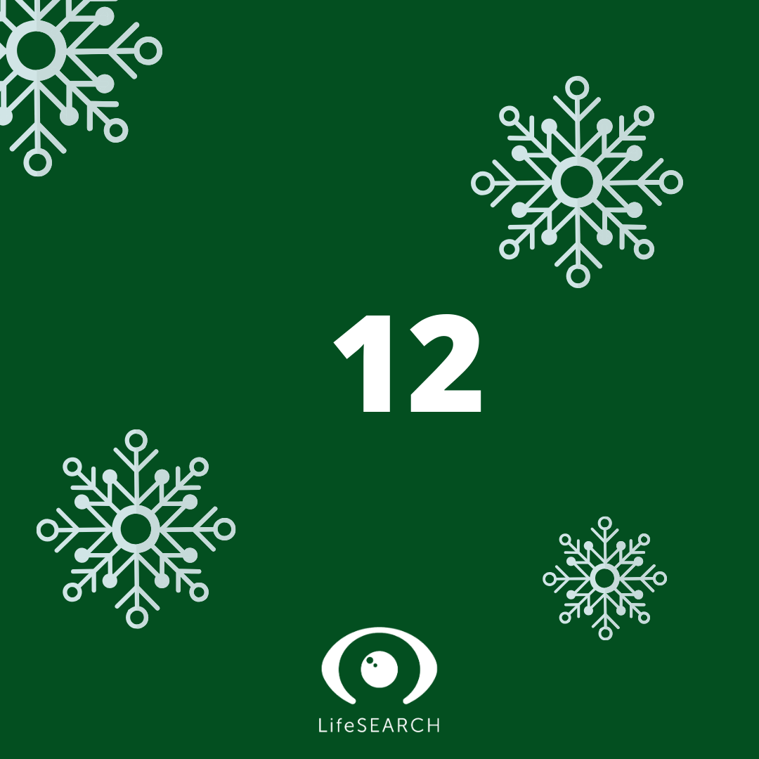 Xmas Door number 12