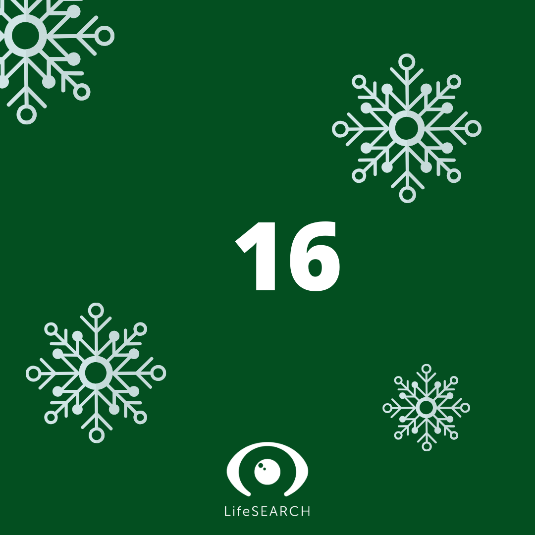 Xmas Door number 16