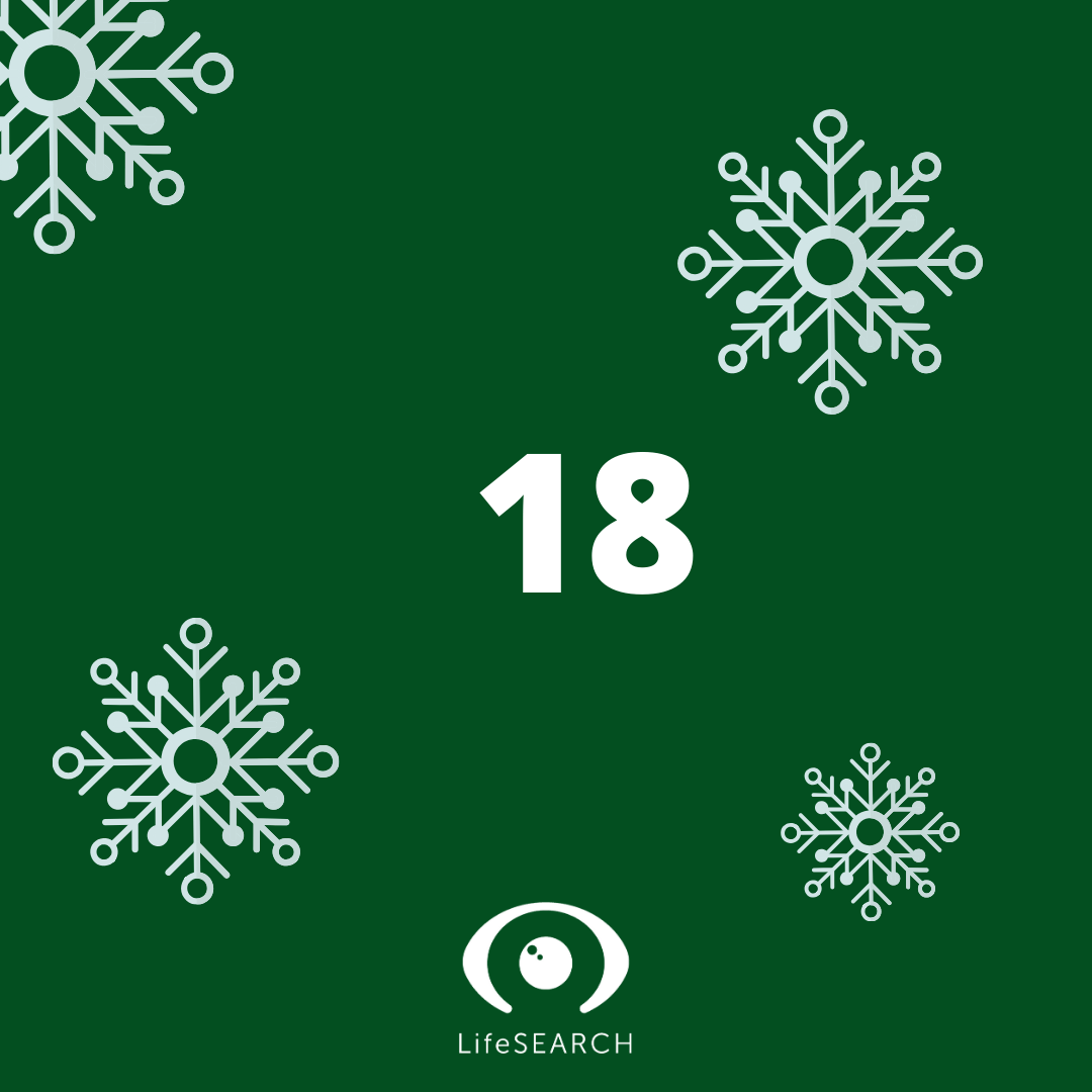 Xmas Door number 18
