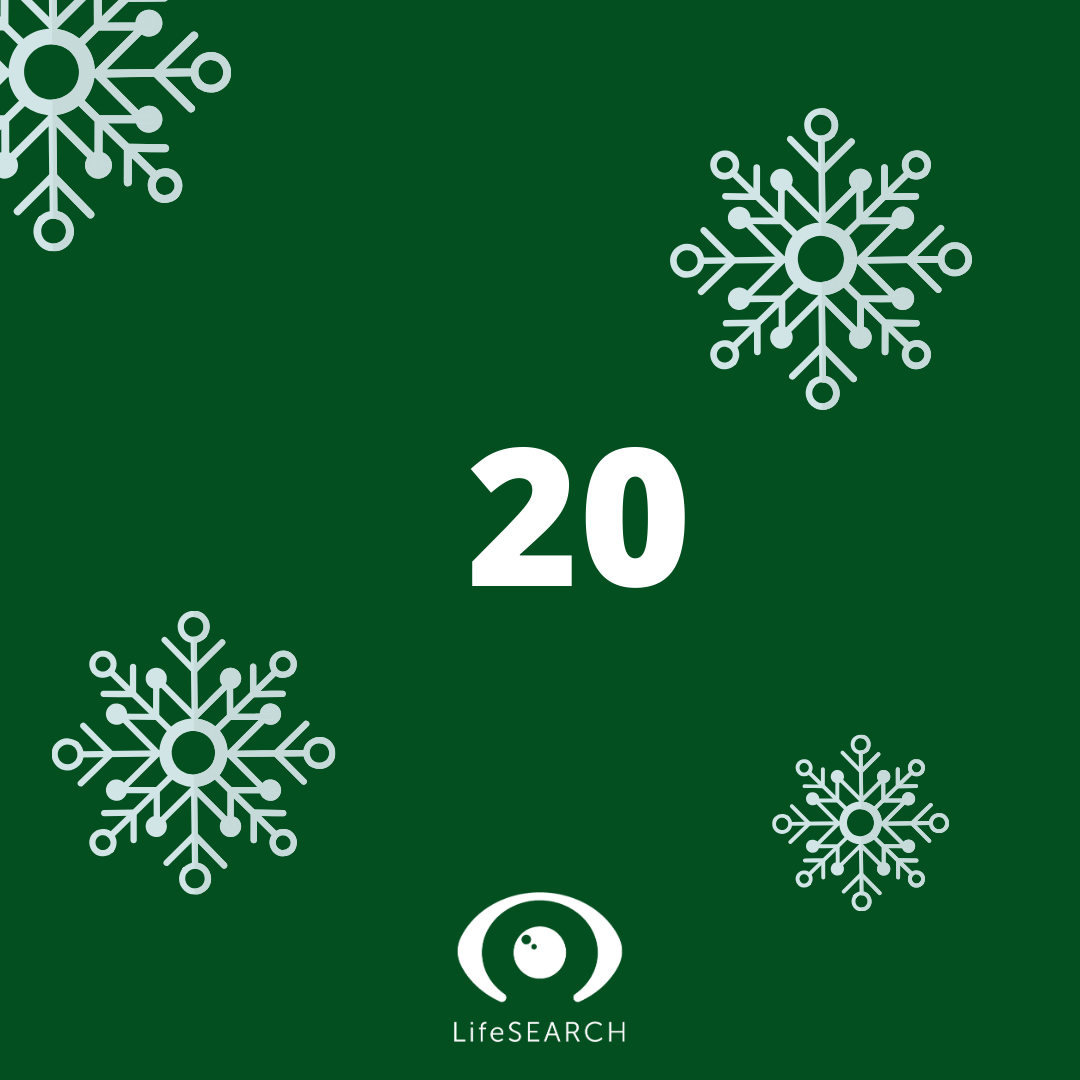 Xmas Door number 20