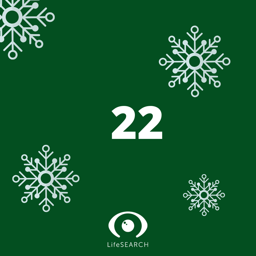 Xmas Door number 22