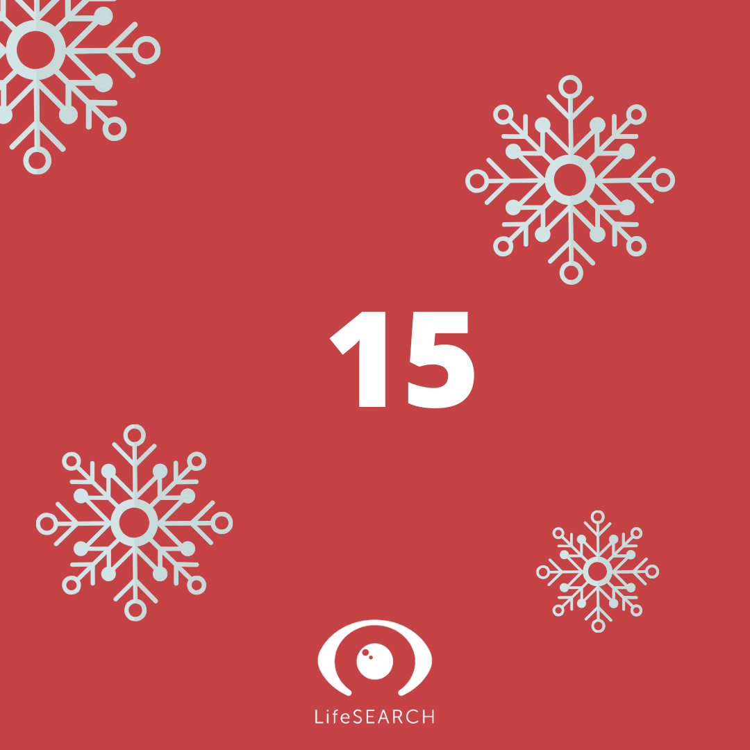 Xmas Door number 15
