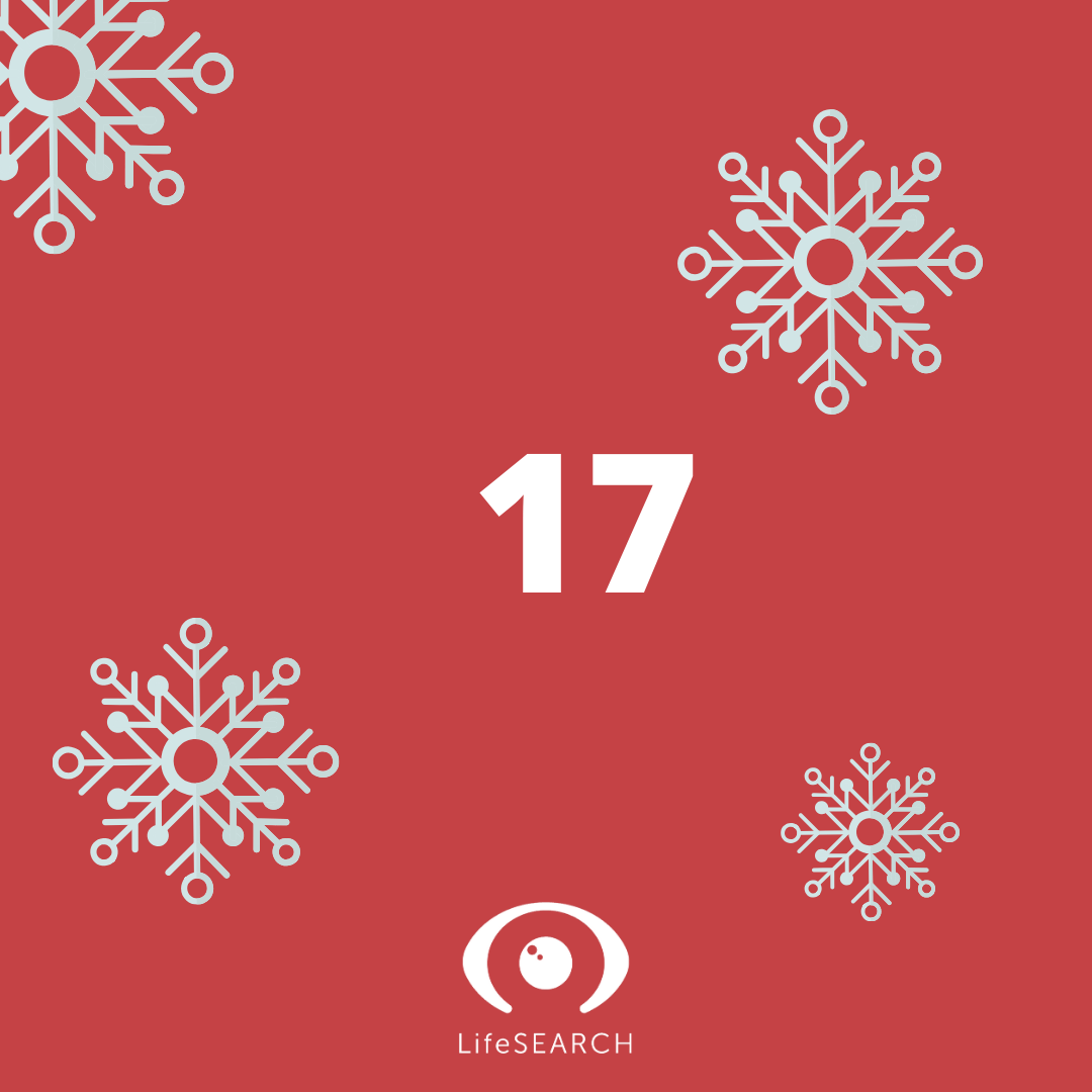 Xmas Door number 17