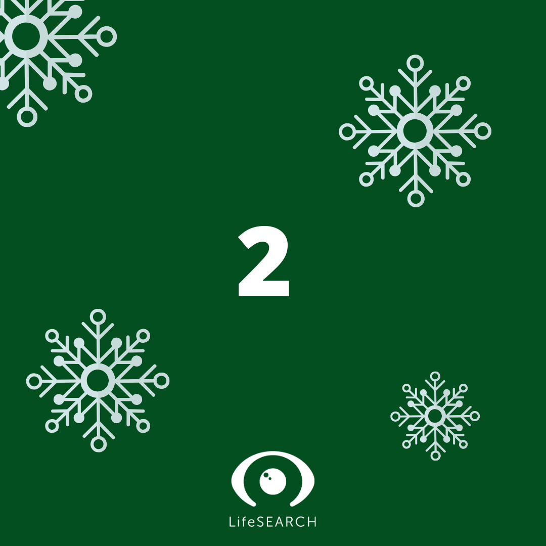 Xmas Door number 2